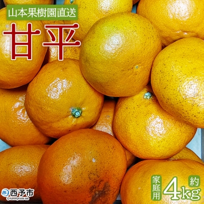 山本果樹園直送　愛媛県西予市三瓶産　甘平　約4kg(家庭用)