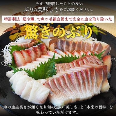 <異次元の鮮度!「超冷薫」冷凍ぶり ブロックカット(1kg)>　ブリ　鰤　海産　魚介　西予