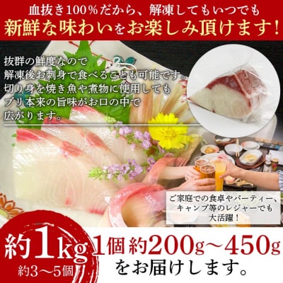 <異次元の鮮度!「超冷薫」冷凍ぶり ブロックカット(1kg)>　ブリ　鰤　海産　魚介　西予