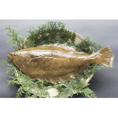 <ハーブ媛ひらめ・うに醤油セット>　ヒラメ　三瓶　西予　刺身　特産品