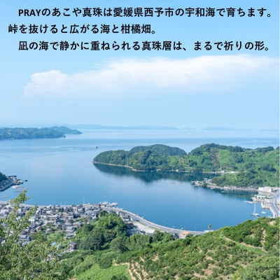 <明浜産あこや真珠8.5mm　希少グレー系 K10YGフープピアス> パール　アクセサリー