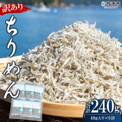 <【無添加・天日干し】　わけあり　お徳用ちりめん　40g×6袋>　しらす　じゃこ　魚　西予市　明浜