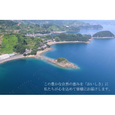<【無添加・天日干し】　わけあり　ちりめん　300g>　しらす　じゃこ　無添加　さかな　海産