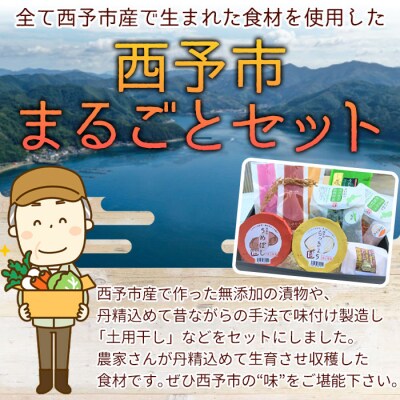 <西予市まるごとセットA>　ジオ　詰合せ　食べ比べ　米　コメ　漬物