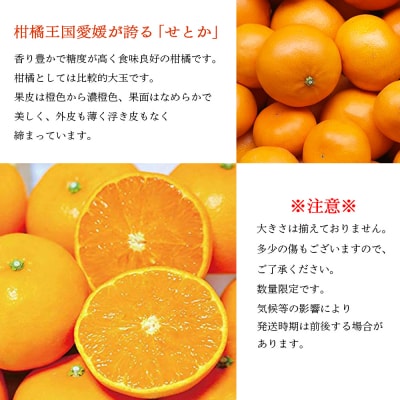 愛媛県明浜産 せとか(1kg)