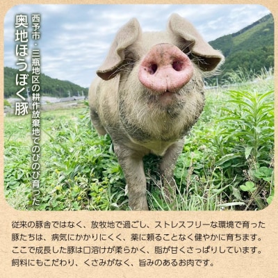 <奥地ほうぼく豚を使った贅沢ロースハムセット>