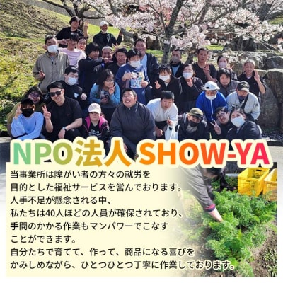 <天日干し芋 紅はるか 400g(200g×2袋)>1袋約8枚入り