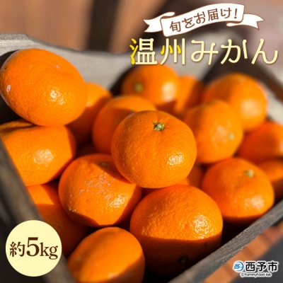 【先行受付】<旬をお届け!温州みかん 約5kg> 