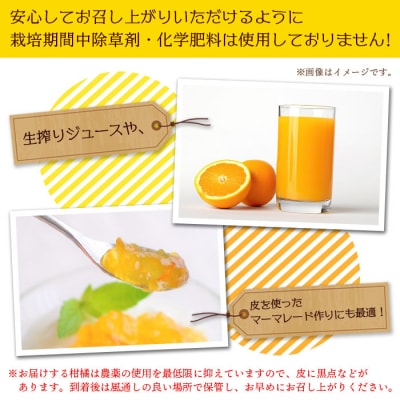 【先行受付】<旬をお届け!温州みかん 約5kg> 