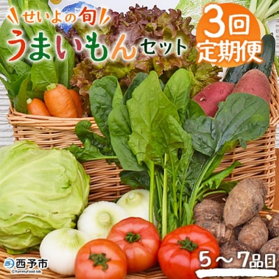 <せいよのうまいもんセット 3回定期便> 西予市産 愛媛県産 国産 旬 季節の野菜 やさい