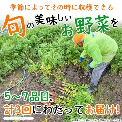 <せいよのうまいもんセット 3回定期便> 西予市産 愛媛県産 国産 旬 季節の野菜 やさい