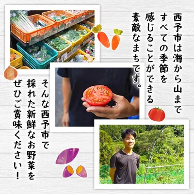 <せいよのうまいもんセット 3回定期便> 西予市産 愛媛県産 国産 旬 季節の野菜 やさい