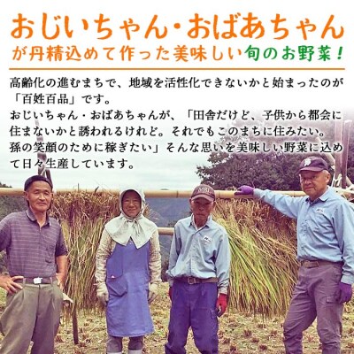 <せいよのうまいもんセット 3回定期便> 西予市産 愛媛県産 国産 旬 季節の野菜 やさい
