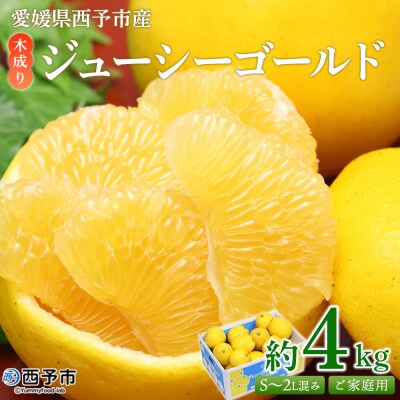 <木成り ジューシーゴールド(河内晩柑)ご家庭用 約4kg(S～2L混合)> 訳あり