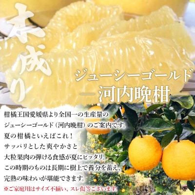 <木成り ジューシーゴールド(河内晩柑)ご家庭用 約4kg(S～2L混合)> 訳あり