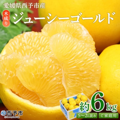 <木成り ジューシーゴールド(河内晩柑)ご家庭用 約6kg(S～2L混合)