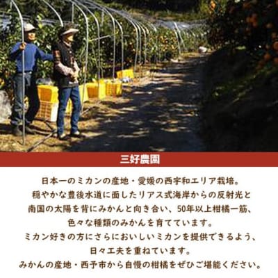 三好農園直送　愛媛県西予市産　みかん果汁100%ジュース720ml×3本