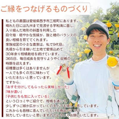 TSUGUMI 清見ジュース 720ml×2本