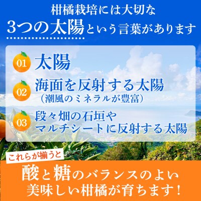 TSUGUMI 清見ジュース 720ml×3本 