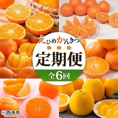 【先行受付】<2025年11月発送開始 えひめかんきつ定期便 全6回> 