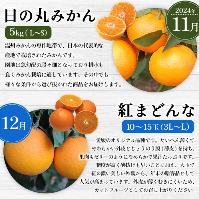 【先行受付】<2026年11月発送開始 えひめかんきつ定期便 全6回> 
