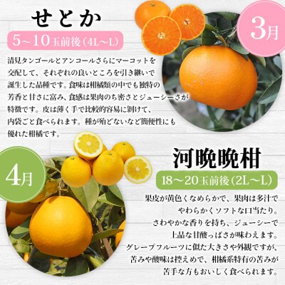 【先行受付】<2026年11月発送開始 えひめかんきつ定期便 全6回> 