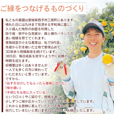 TSUGUMI 柑橘ジュース 飲み比べセット