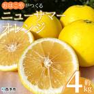 【先行受付】おはこやがつくる　ニューサマーオレンジ　4kg 果物 フルーツ 
