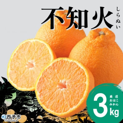 【先行受付】おはこやがつくる　おはこデコ(不知火)　3kg