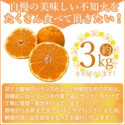 【先行受付】おはこやがつくる　おはこデコ(不知火)　3kg
