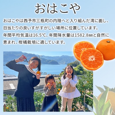 【先行受付】おはこやがつくる　おはこデコ(不知火)　3kg