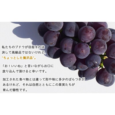 <旬のブドウ「ピオーネ」約2kg> 果物 フルーツ ぶどう 葡萄 甘い おいしい 期間限定 季節限定