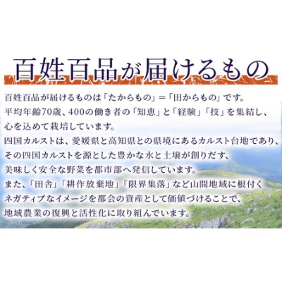 百姓百品復興焼酎 720ml×2本セット 西予市産 愛媛県産 国産 さつま芋 さつまいも 