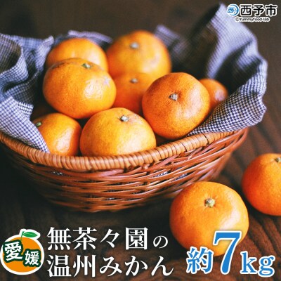 【先行受付】無茶々園の温州みかん7kg　果物　みかん　愛媛