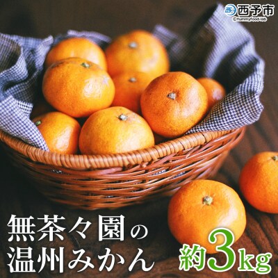 【先行受付】無茶々園の温州みかん　3kg 果物　みかん　おいしい　あまい