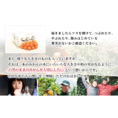 【先行受付】無茶々園の温州みかん　3kg 果物　みかん　おいしい　あまい