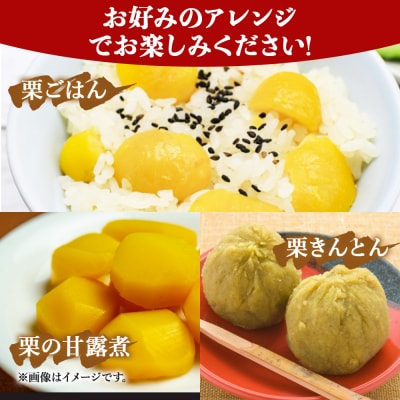 <栗 約1kg(2Lまたは3Lサイズ)愛媛県西予市産> クリ くり 果物 フルーツ 