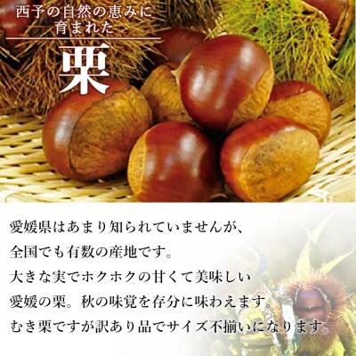 愛媛県西予市産　むき栗訳あり(むき栗150g×1個)　西予市　栗