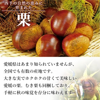 <栗尽くしセット(むき栗150g×2袋・生栗1kg)愛媛県西予市産> くり 生栗 剥き栗 フルーツ 