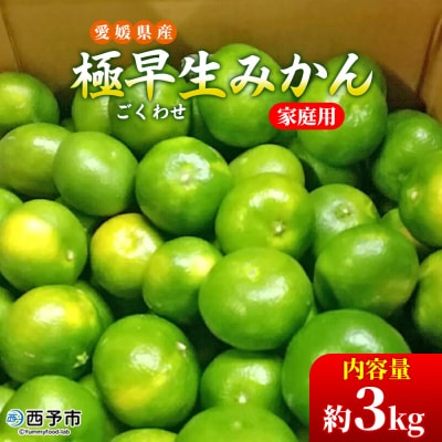 愛媛県西予市産　極早生みかん　3kg
