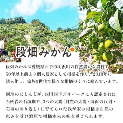 愛媛県西予市産　極早生みかん　3kg