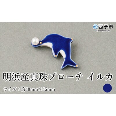 保証書付<明浜産 真珠ブローチ イルカ(青)> 8.0～8.5mm 純国産 高品質 アコヤ真
