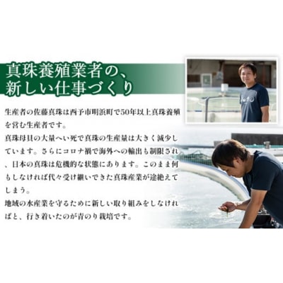 <打ち抜き海水で育てた「すじ青のり」粉末 200g入り×1袋 業務用> 甲殻類アレルギーフリー 色づ