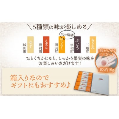 <果汁たっぷり!西予の美味しいが詰まったせいよぐみ>10粒 お菓子 デザート スイーツ グミ 洋菓子