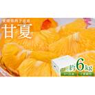 <愛媛県西予市産 甘夏 ご家庭用 約6kg> 訳あり S～2Lサイズ混合 果物 くだもの フルーツ 