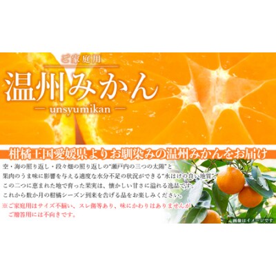 <愛媛県西予市産 温州みかん ご家庭用 約4kg> 訳あり わけあり 果物