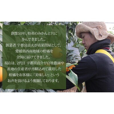 <愛媛県西予市産 温州みかん ご家庭用 約4kg> 訳あり わけあり 果物