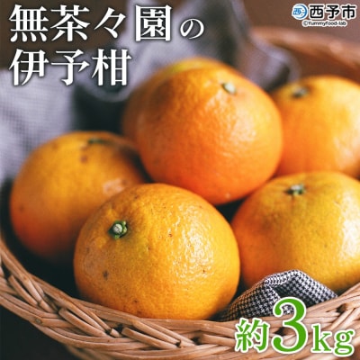 【先行受付】無茶々園の伊予柑　3kg　おいしい　えひめ　柑橘