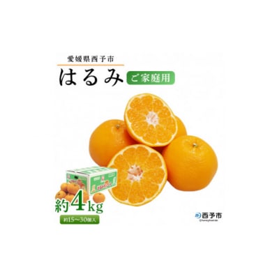 <愛媛県西予市産 はるみ ご家庭用 約4kg>約15～30個入り 訳あり 果物 くだもの フルーツ 