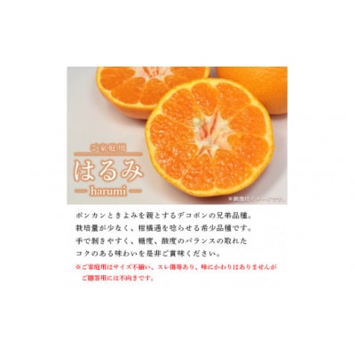 <愛媛県西予市産 はるみ ご家庭用 約4kg>約15～30個入り 訳あり 果物 くだもの フルーツ 